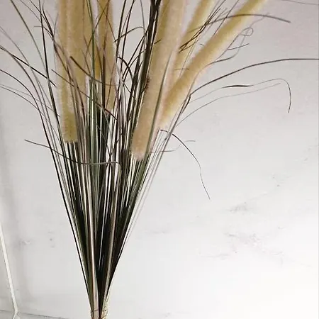 Magnifique T2 Centre 5 Min A Pieds Des Arenes De Apartment *