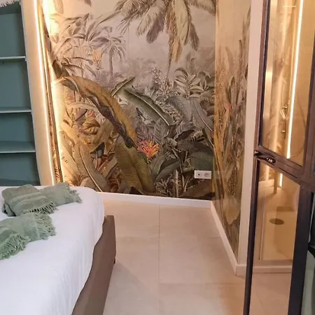 Magnifique T2 Centre 5 Min A Pieds Des Arenes De * Nimes