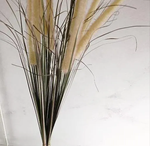 Magnifique T2 Centre 5 Min A Pieds Des Arenes De Lägenhet *